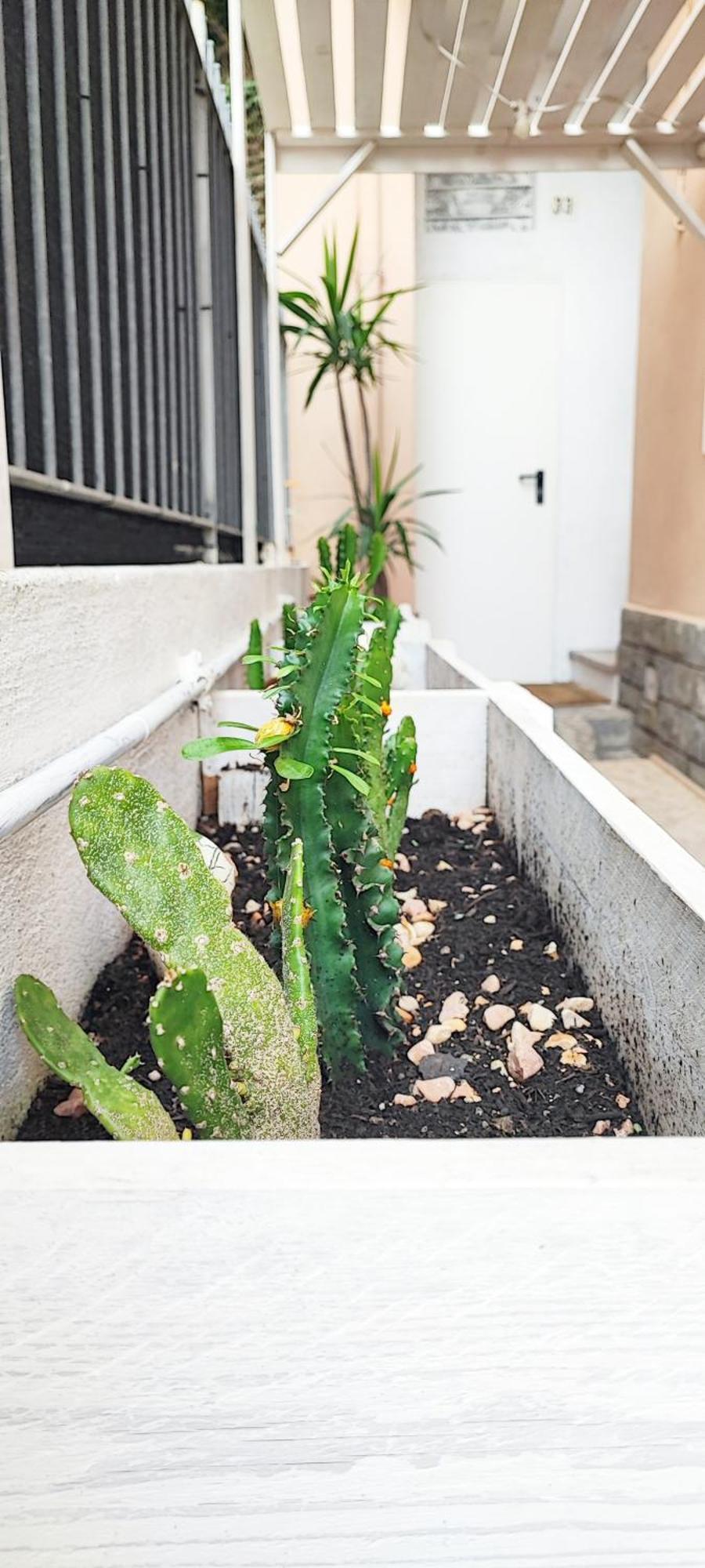 Residenza Bibliososta Apartment เวนติมิญา ภายนอก รูปภาพ