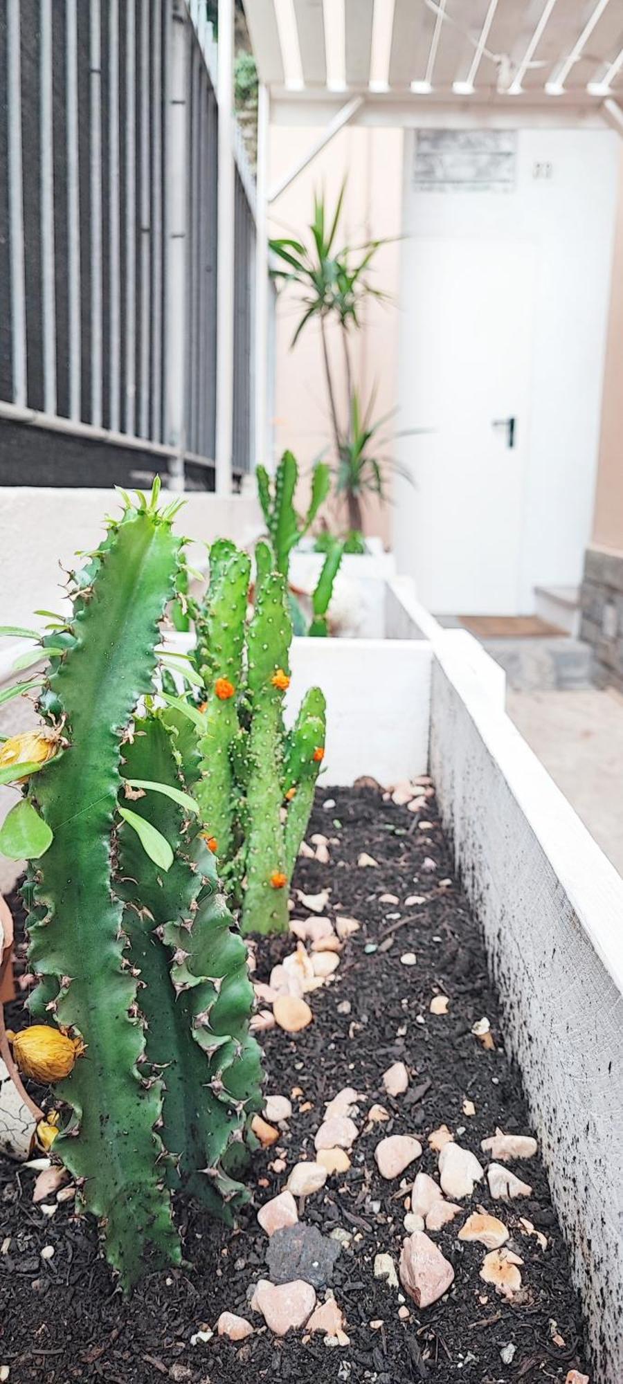 Residenza Bibliososta Apartment เวนติมิญา ภายนอก รูปภาพ